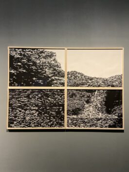 JULIÁN PESCE