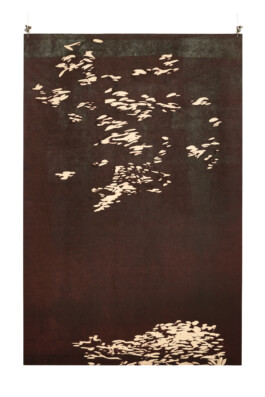 JULIÁN PESCE