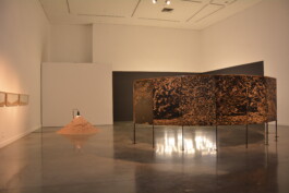 JULIÁN PESCE
